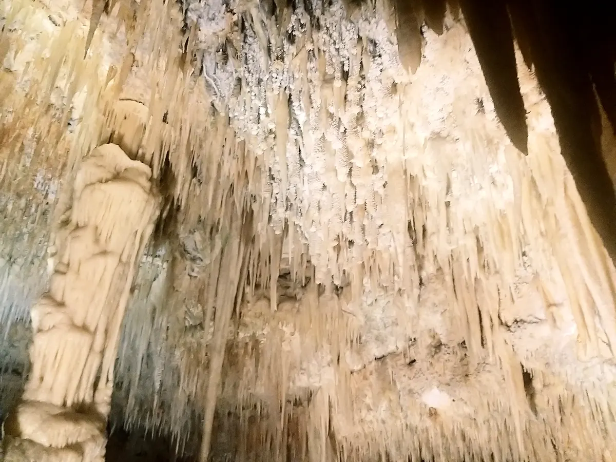 Stalattiti e stalagmiti chiare nelle Grotte di Castellana