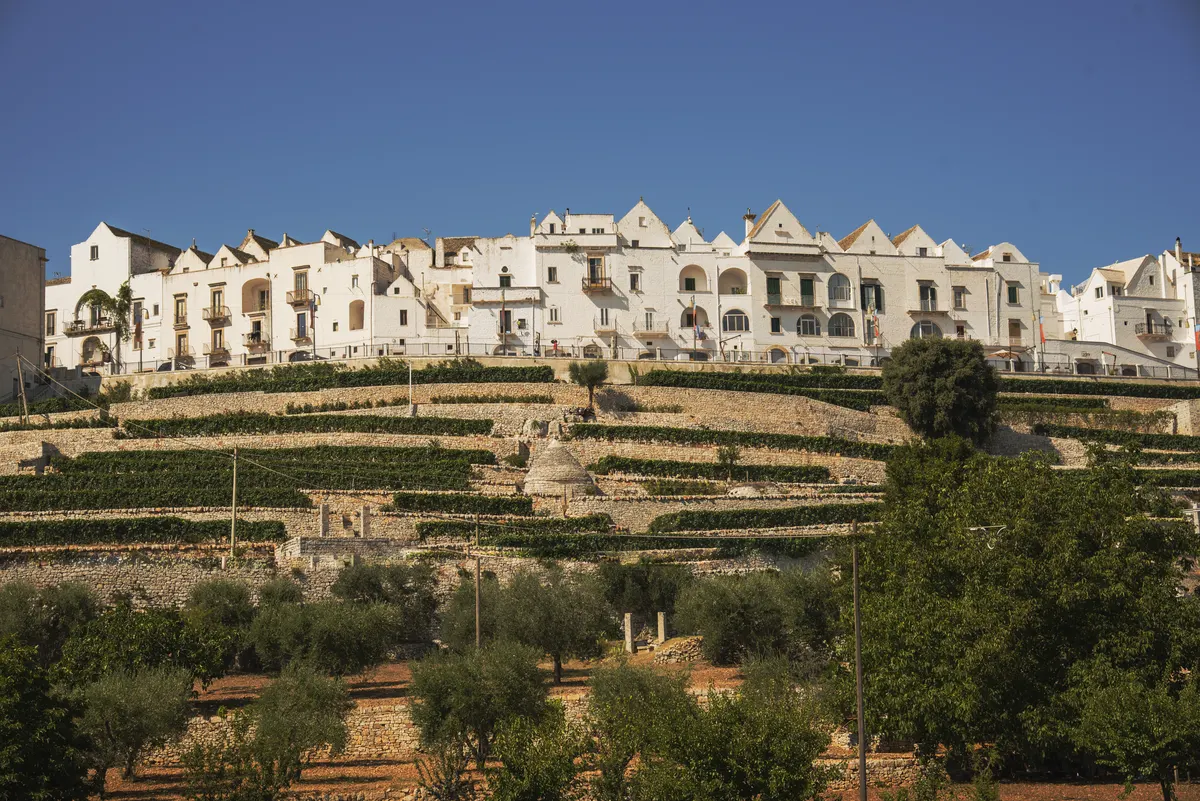 Il profilo del borgo bianco di Locorotondo sopra la campagna